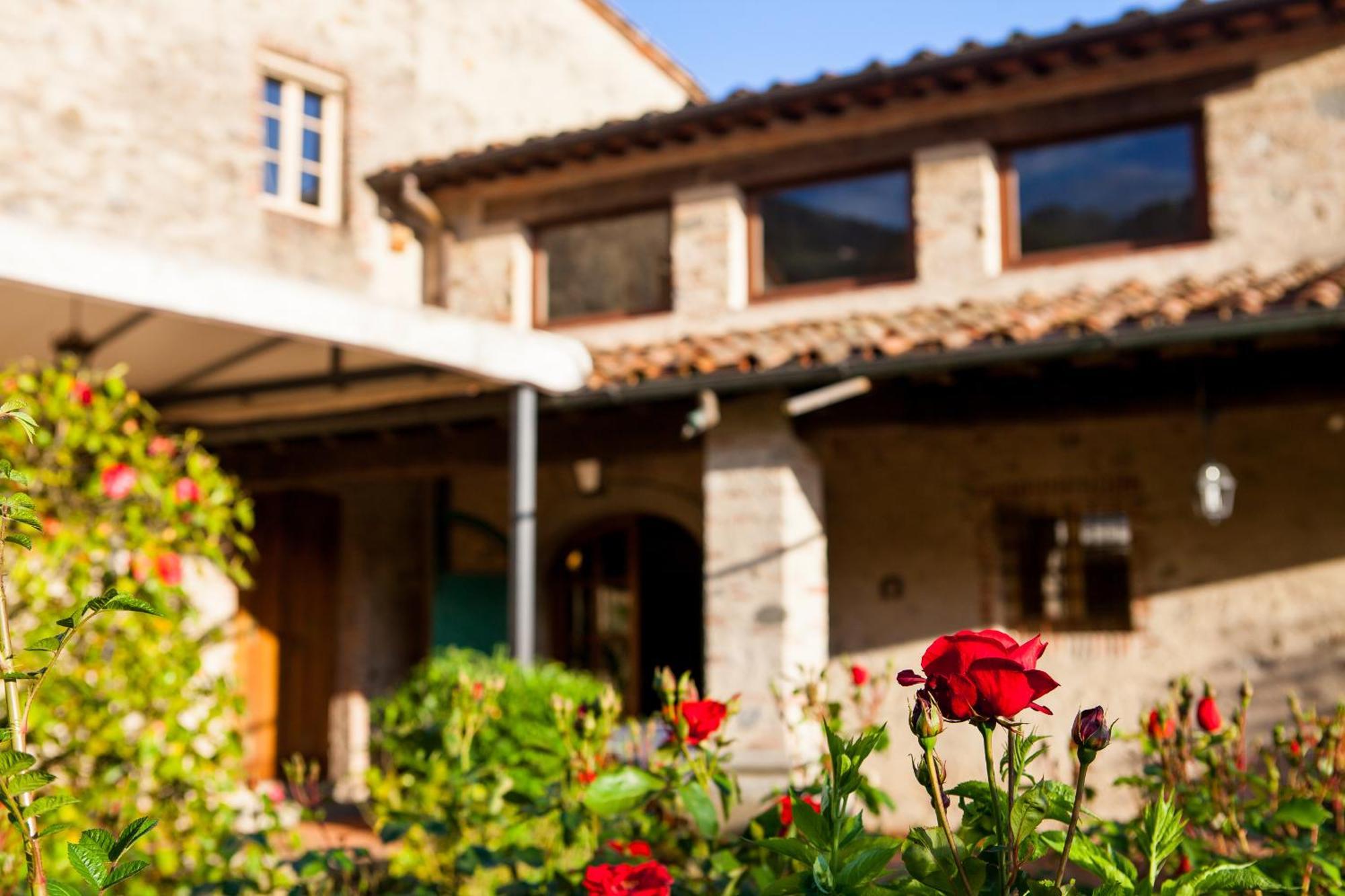 Bernardone Hotel Camaiore Kültér fotó
